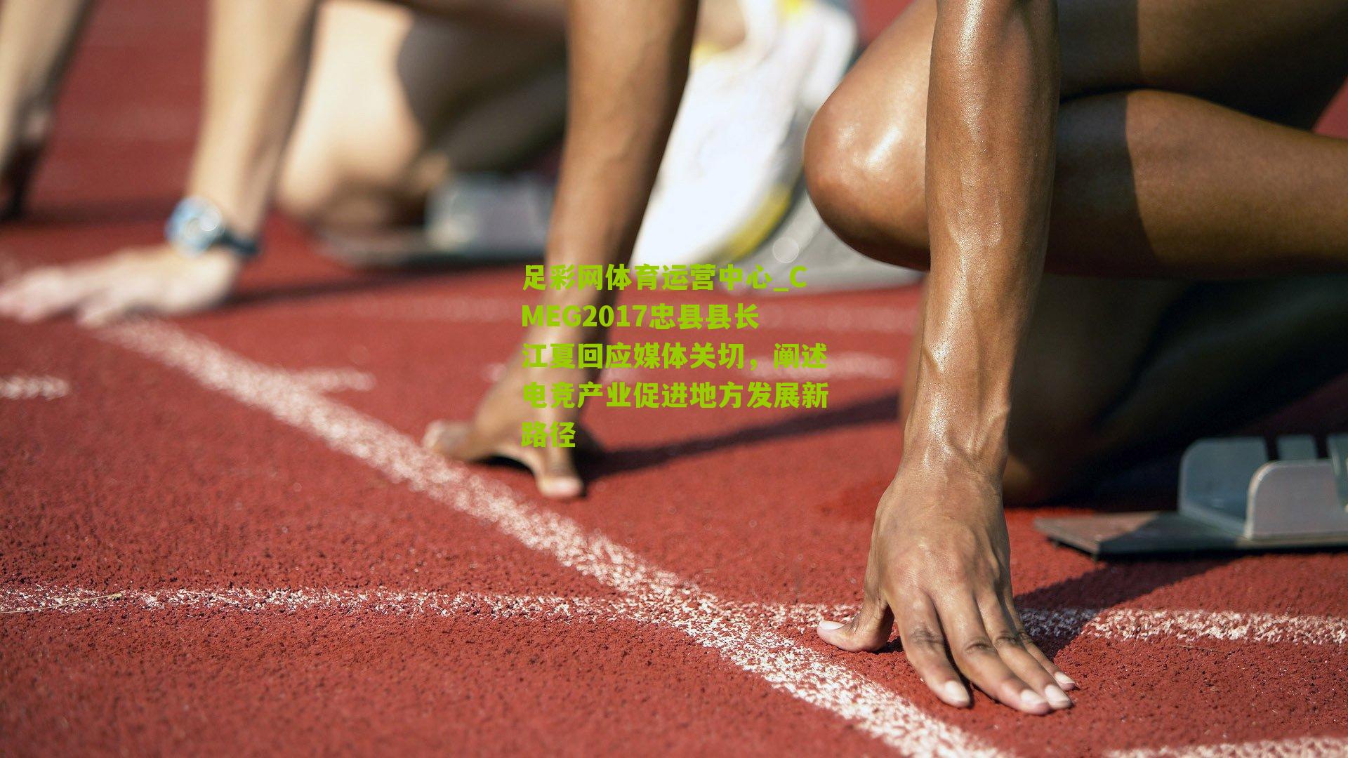 CMEG2017忠县县长江夏回应媒体关切，阐述电竞产业促进地方发展新路径